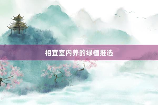 相宜室内养的绿植推选