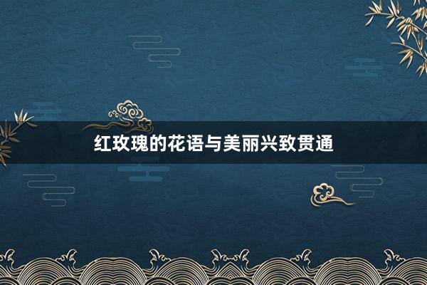红玫瑰的花语与美丽兴致贯通